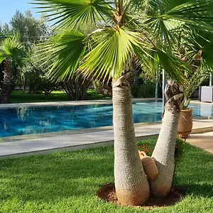 *** Guest house Les Deux Citronniers Morocco